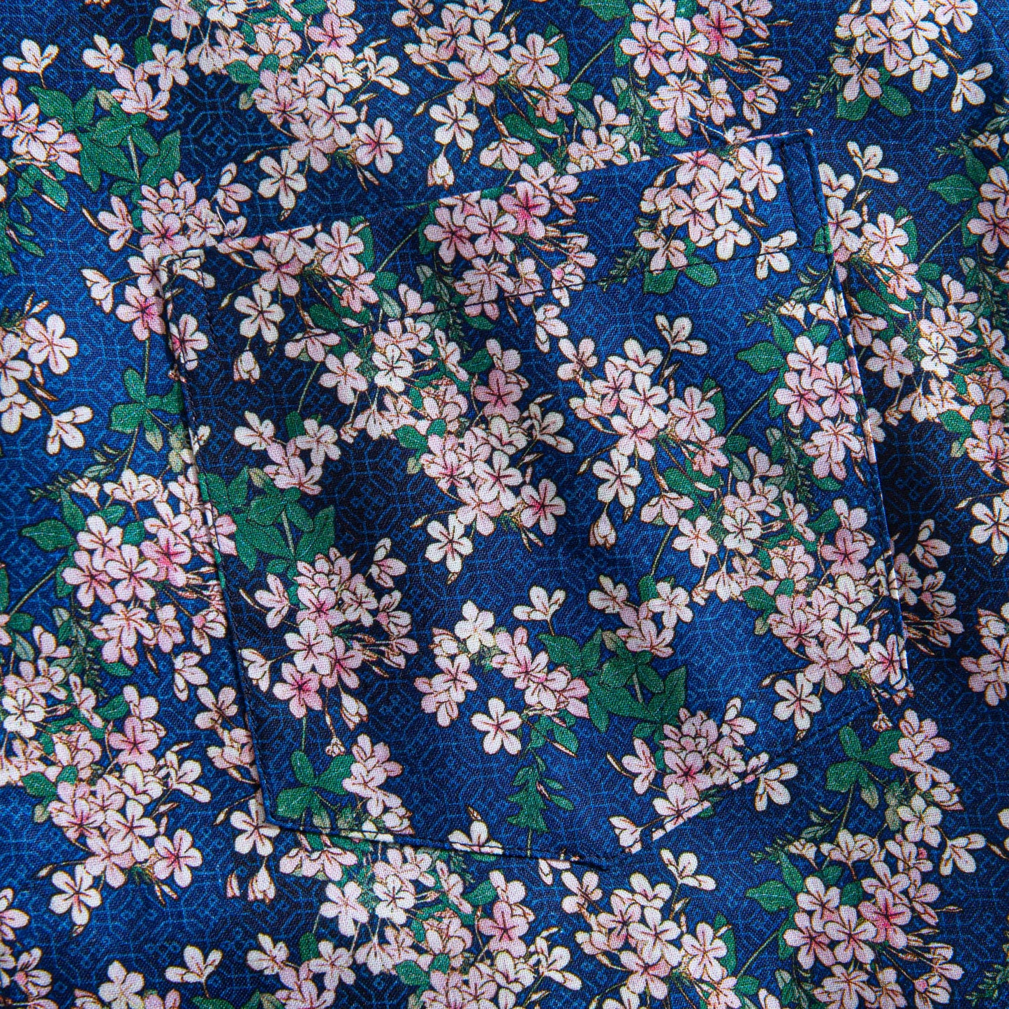 Sakura Blossom