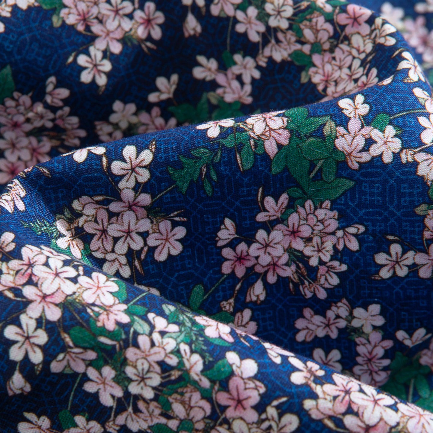 Sakura Blossom